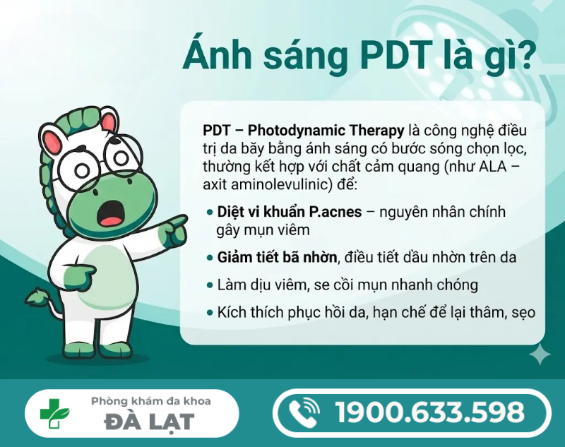 Hình ảnh minh họa